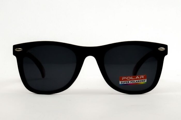POLAR 5005